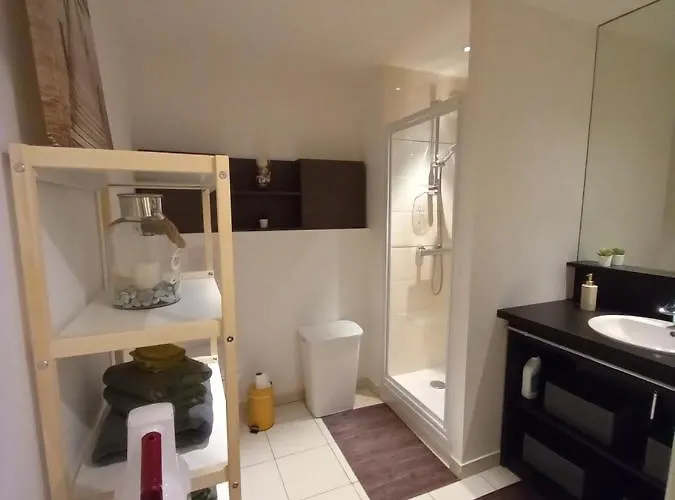 Apartman Magnifique 3 Etoiles Centre Et A Pied